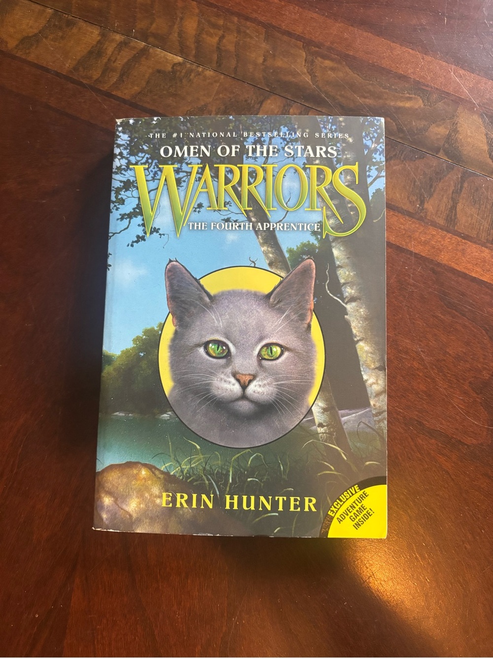 Harper Warriors: Omen of the Stars - Blue & Yellow Book Cover